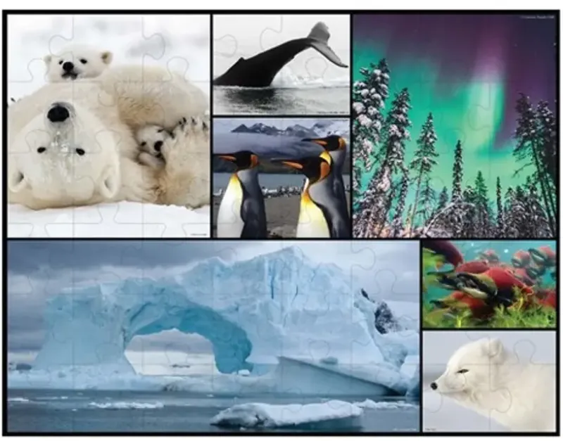 WWF Puzzle: Golvpussel - Polar (48)